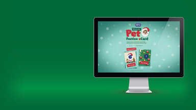 Example 2: We Wish You A Furry Christmas