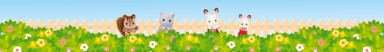 bottom banner image graphic