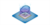 AI Development / Integration