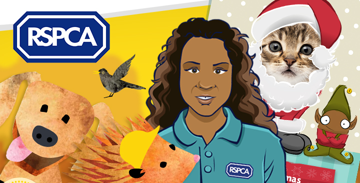 RSPCA - Overview