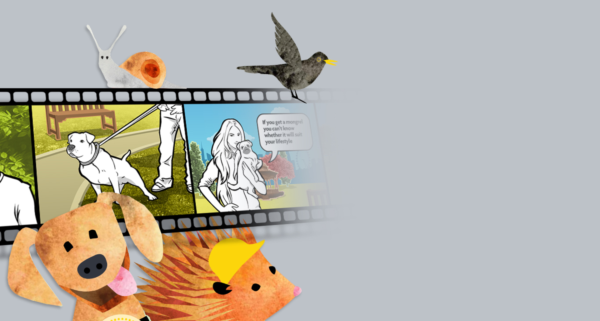 Animations and Illustrations