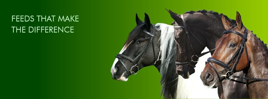 Baileys Horse Feeds.jpg
