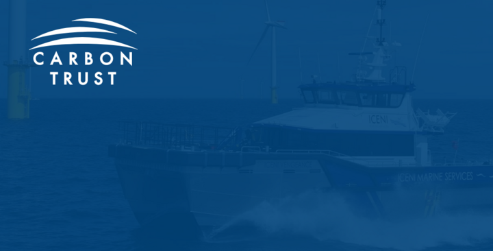 Bespoke Application Development for Carbon Trust