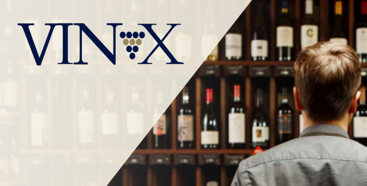 Vin-X - Website