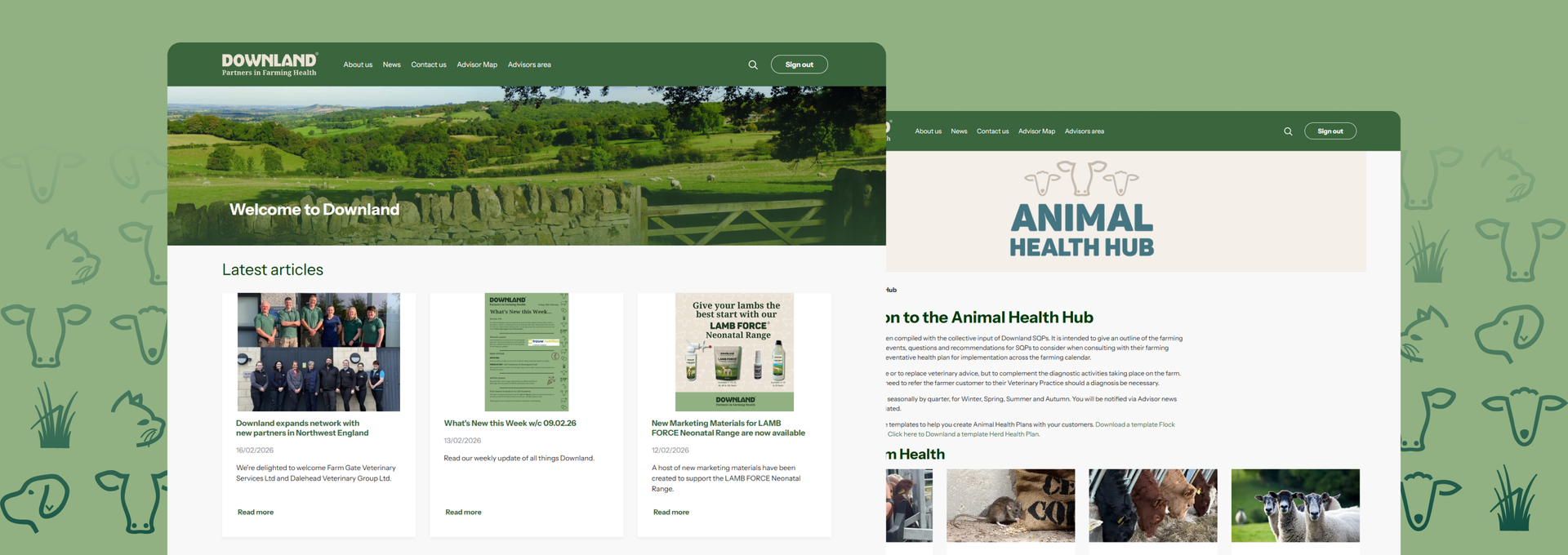 site screenshots